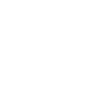 CUTIE DE VITEZE BMW